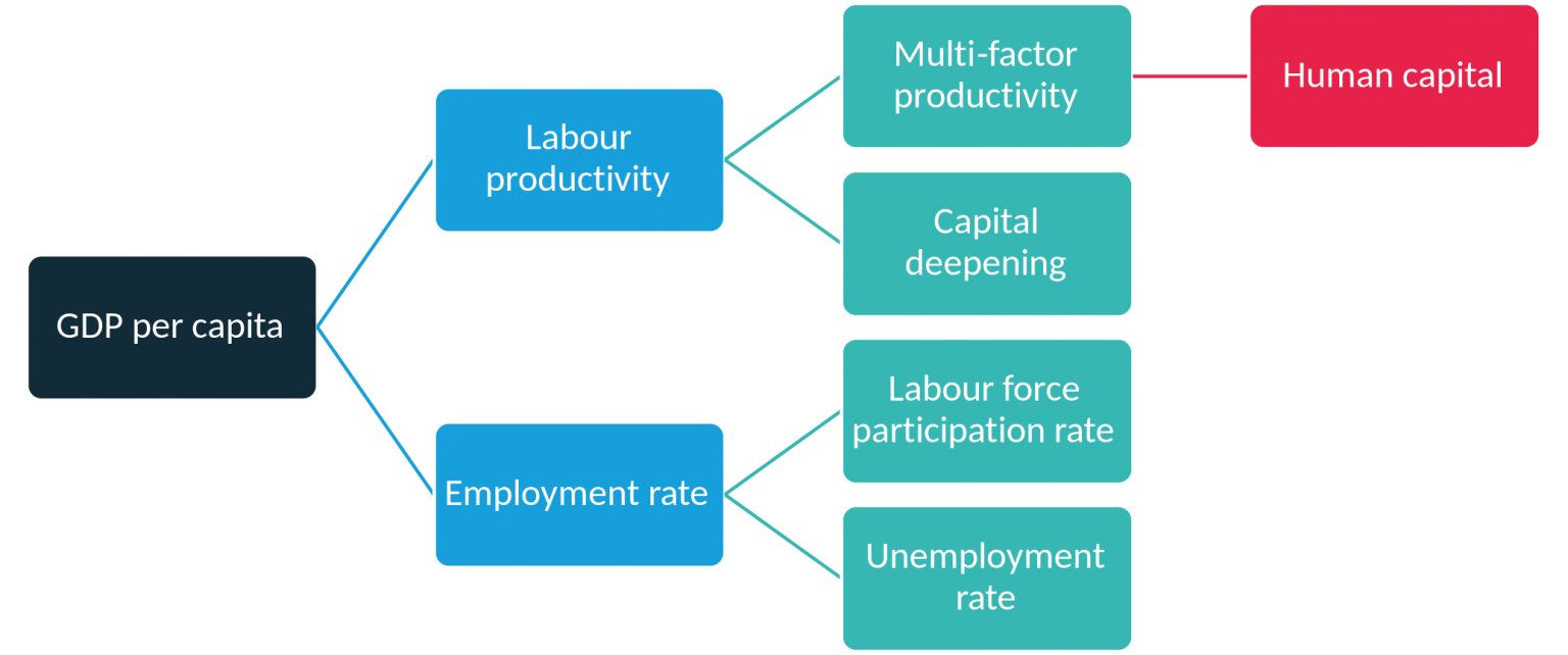 which-investments-in-human-capital-will-boost-productivity-growth