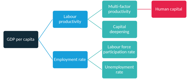 Which Investments In Human Capital Will Boost Productivity Growth Economics Observatory 0653