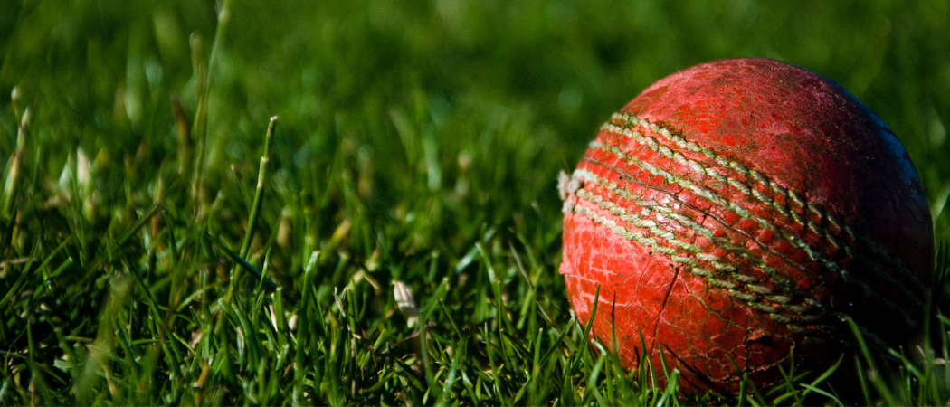 What can economics learn from cricket – and cricket from economics ...